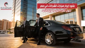 رجال أعمال بجوار سيارة مرسيدس ليموزين سوداء - خدمة تأجير سيارات للشركات في القاهرة
